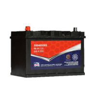 Starter Battery