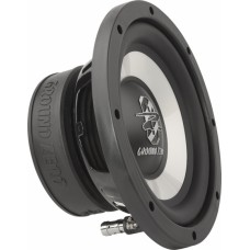 GZIW 200X Car Subwoofer