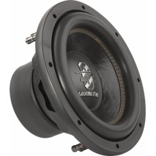 GZRW 10D2 Car Subwoofer