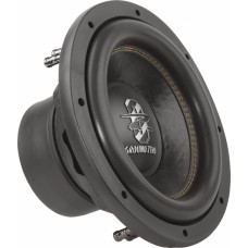 GZRW 10D4 Car Subwoofer