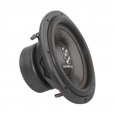 GZRW 12D4 Car Subwoofer