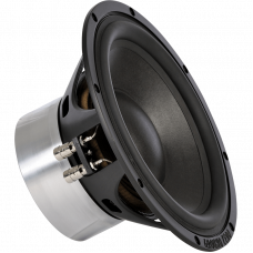 GZPW Reference 250 Car Subwoofer