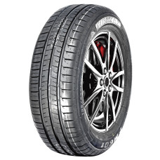 FM601 225/55R17 101 W XL