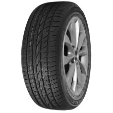 Royal Winter 195/60R15 88 H 