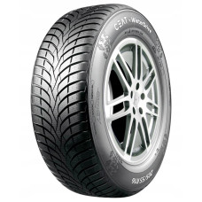 Winter Drive 195/65R15 91 H 