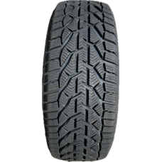 Winter 225/50R17 98 V 