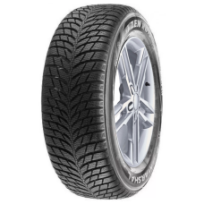 MW51 205/55R17 95 V 