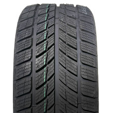 225/45R18 DW09 95T XL