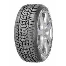 Eskimo HP2 245/45R18 100 V 